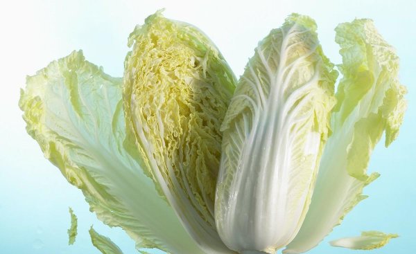 娃娃菜和大白菜有什么区别