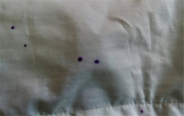衣服上笔芯油墨怎么清洗妙招