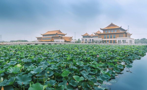 泰州是哪个省的城市