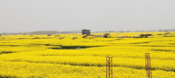 泰州是哪个省的城市