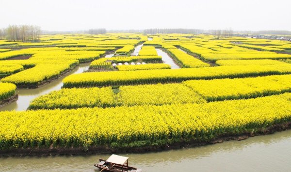 泰州是哪个省的城市