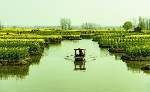 泰州是哪个省的城市