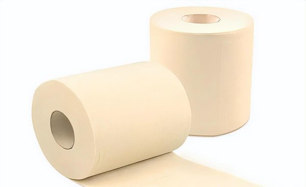 中国卷纸品牌十大排名