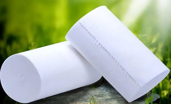 中国卷纸品牌十大排名