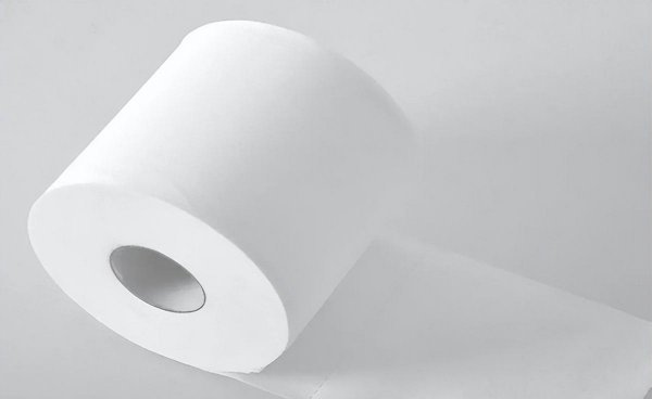 中国卷纸品牌十大排名