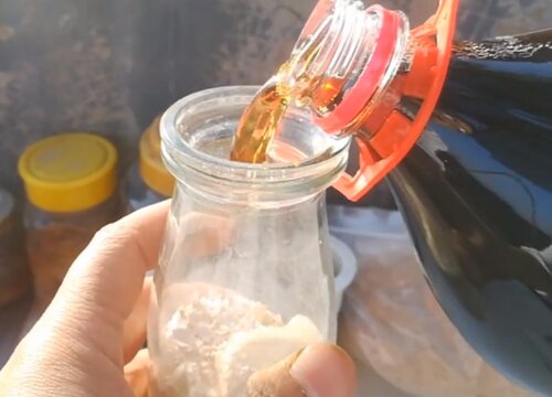 植物可以浇可乐吗