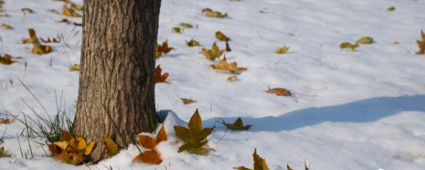 立冬下雪好句子