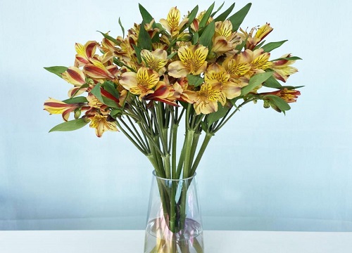 大花瓶插什么花好看图片