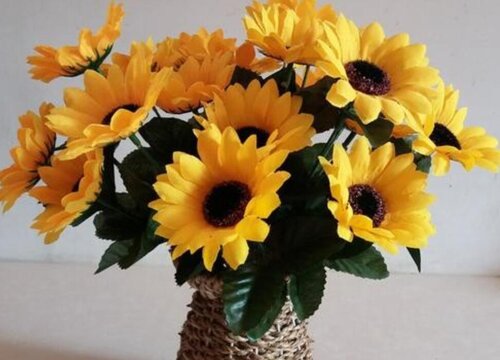 向日葵花语是什么意思