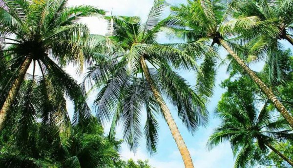 一个已婚男人对已婚女动情的表现