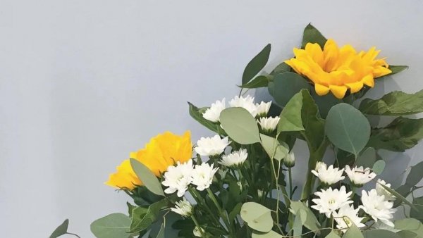 天秤座喜欢一个人的表现超准