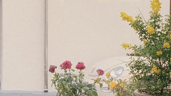 天秤座喜欢一个人的表现超准