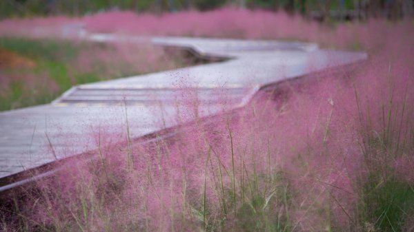 天秤座喜欢一个人的表现超准