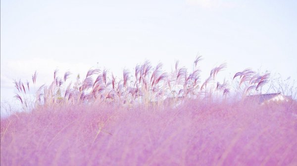 天秤座喜欢一个人的表现超准