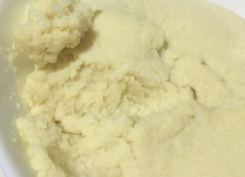 茉莉花如何养护花开不断