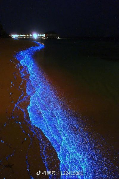 产生赤潮的主要原因