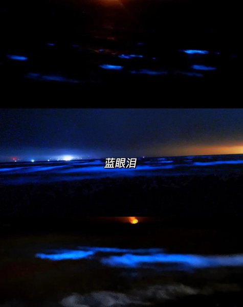 产生赤潮的主要原因