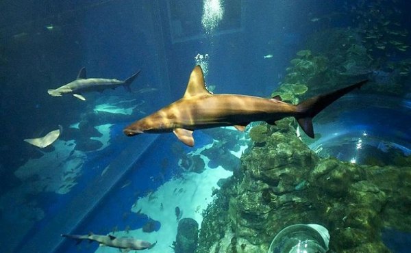 香港十大著名景点推荐