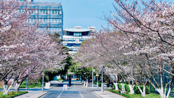 同济大学学科评估结果排名