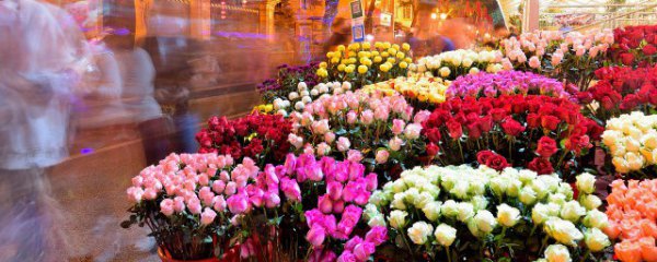 为什么过年要摆花花草草