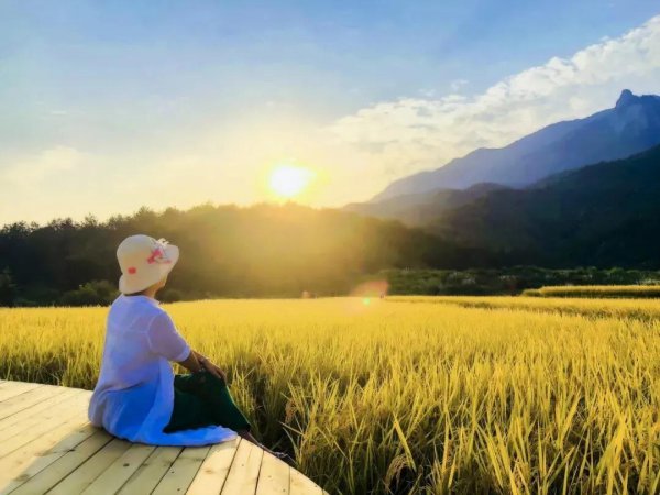 不物质的女人你驾驭不了