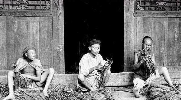 清朝包衣出身是什么意思