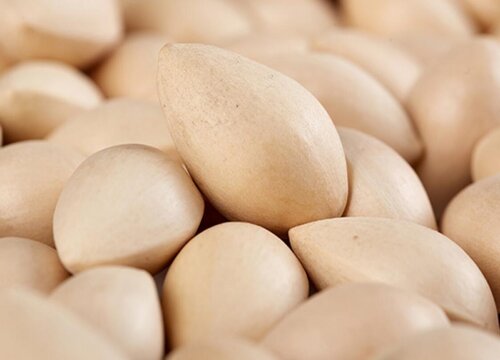 白果一天吃几个最好