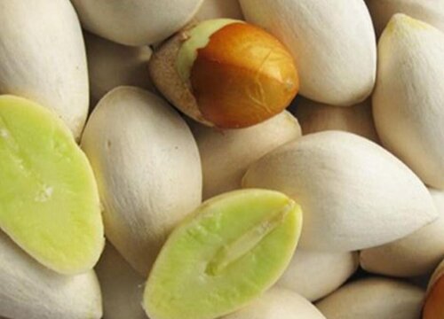 白果一天吃几个最好