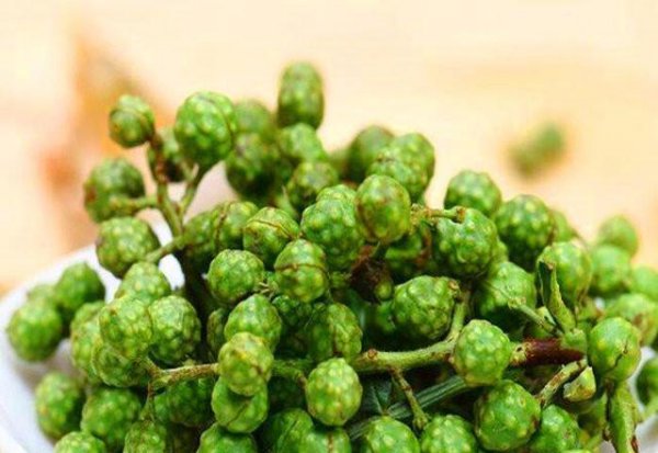 藤椒和麻椒是一种东西吗