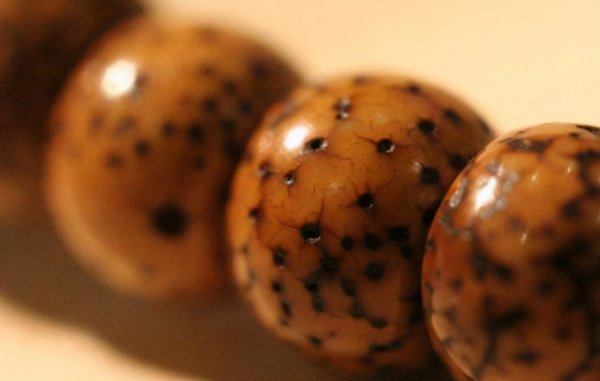 菩提是什么材料做成的