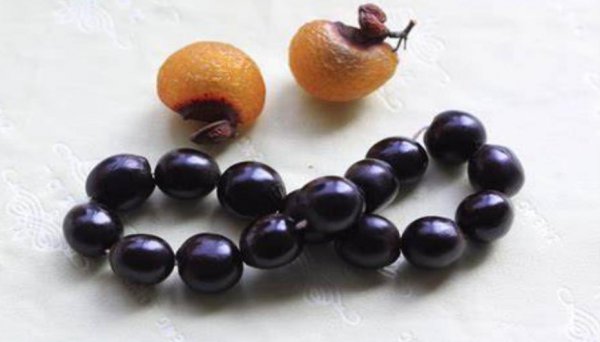 菩提是什么材料做成的