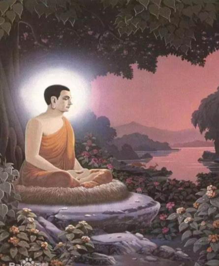 菩提是什么材料做成的