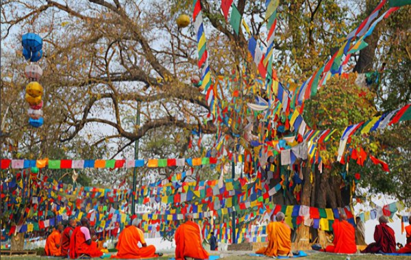 菩提是什么材料做成的