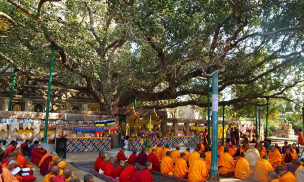 菩提是什么材料做成的