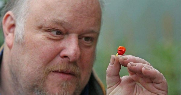 最辣的辣椒排名第一