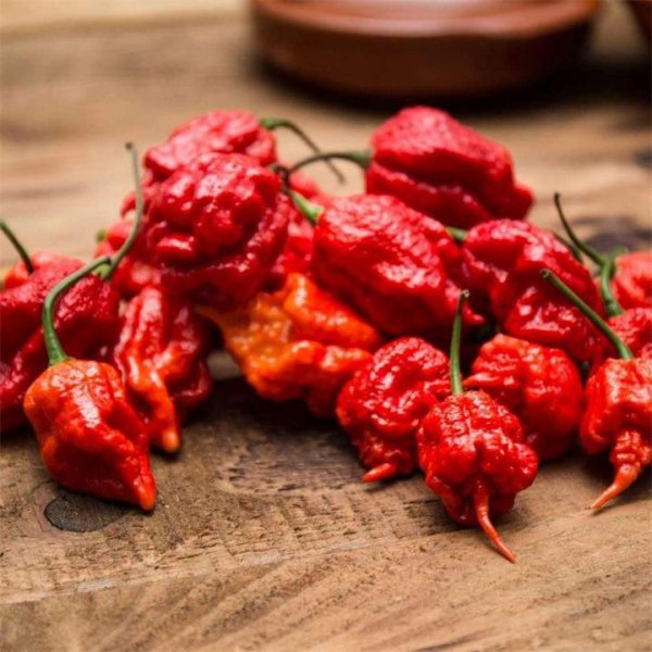 最辣的辣椒排名第一