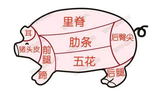 猪雪花肉在哪个位置图解