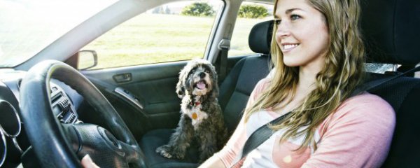 车垫什么材质好