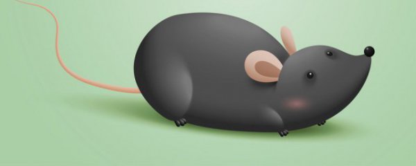 属鼠佩戴什么生肖好