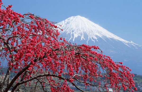 日本面积相当于中国哪个省