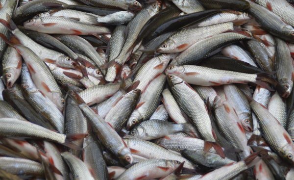 日本面积相当于中国哪个省