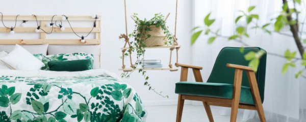 房间放什么财运好