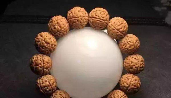 金刚菩提的正确盘玩法