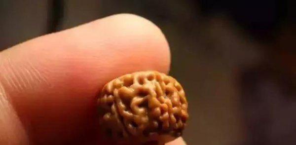 金刚菩提的正确盘玩法