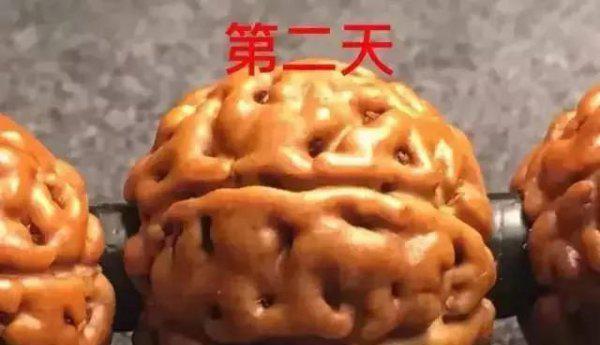 金刚菩提的正确盘玩法