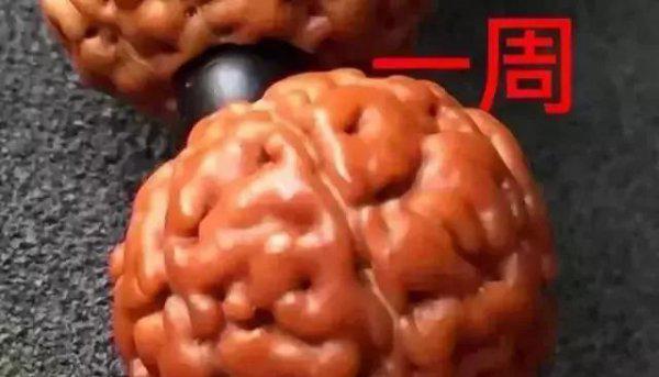 金刚菩提的正确盘玩法