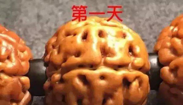 金刚菩提的正确盘玩法