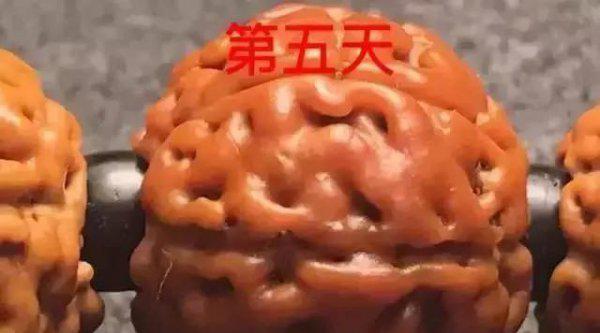 金刚菩提的正确盘玩法