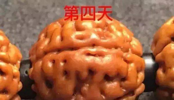 金刚菩提的正确盘玩法