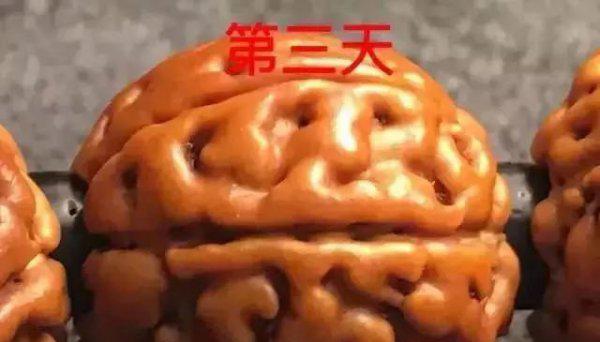 金刚菩提的正确盘玩法